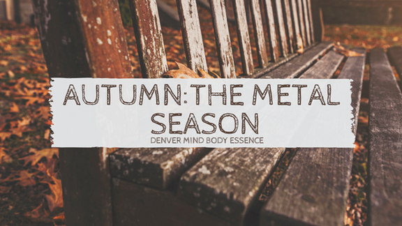 Autumn The Metal Season Blog Banner